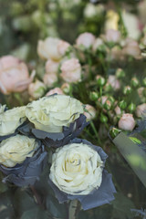 A bouquet of beautiful flowers