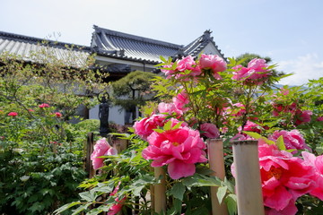 日本　秩父の風景
