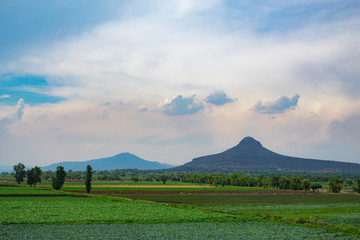 Cultivos al fondo de monta&ntilde;as