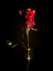 Ruby rose