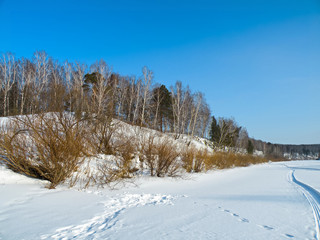 winter landscape