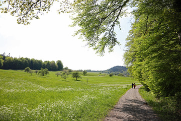 Wandern bei Moosbronn