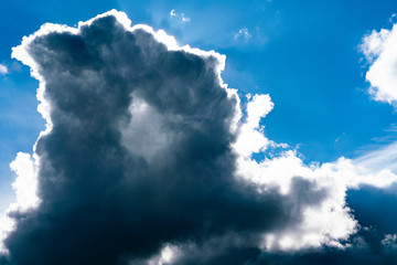 Heavenly caterpillar