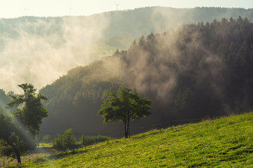 Scenic summer mountain landscape at sunrise with misty. View on the Black Forest in Germany. Foggy early morning over a summer green forest. Colorful dreamy travel background.