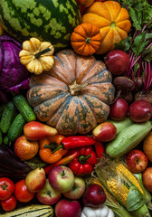 Colorful fruits and vegetables background. Harvest background.