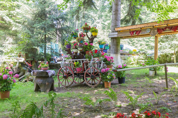 Fototapety na wymiar - Fototapeta24.pl