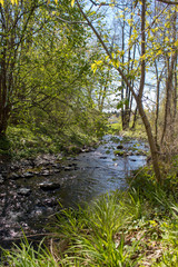 Obraz premium Rocky climb on a green path in spring in the sandstone Elbe Mountains in beautiful Saxon Switzerland near Bohemian Switzerland in Germany