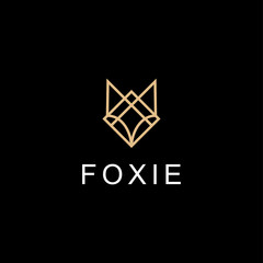 Fototapeta premium fox head illustration vector logo design