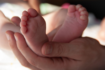 little feet of newborn baby on the palm