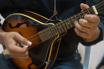 Fototapeta na wymiar Musician playing ukulele.