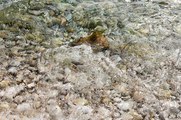 shore with stones