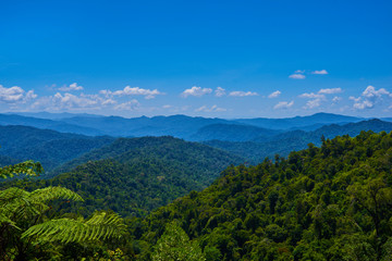 Fototapeta na wymiar Hilly landscape in a blue haze to the horizon. Spectacular view a cloudy sky and lush tropical rainforest Cameron Highlands, Malaysia. Concept of travel and holiday. The concept of ecological tourism