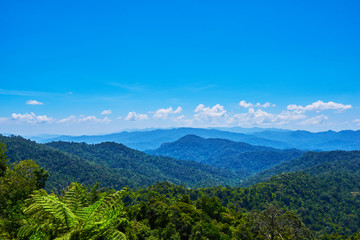 Fototapeta na wymiar Hilly landscape in a blue haze to the horizon. Spectacular view a cloudy sky and lush tropical rainforest Cameron Highlands, Malaysia. Concept of travel and holiday.