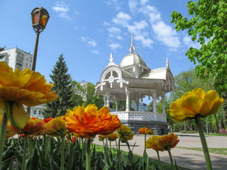 Sumy, Ukraine - April 28, 2019: Park on Pokrovsky Square with a flower bed and vintage wooden...