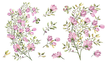 watercolor drawing of twig with leaves and flowers. Botanical illustration .An arrangement of pink flowers and colorful leaves.