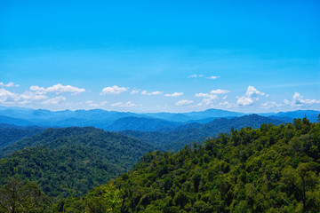 Obraz premium Hilly landscape in a blue haze to the horizon. Spectacular view a cloudy sky and lush tropical rainforest Cameron Highlands, Malaysia. Concept of travel and holiday. The concept of ecological tourism