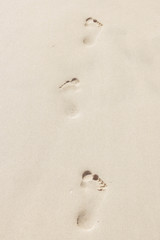 Footprints on the sandy beach