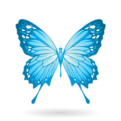 Blue Glossy Butterfly Illustration