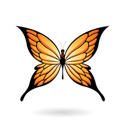 Orange Butterfly With Spiky Wings Illustration