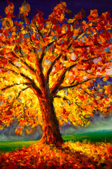 Original Ölgemälde auf Leinwand Kunst. Sonniger Herbstbaum. Moderner Impressionismus. Gelber orange roter Baum des Herbstgoldes im Sonnenlichtlandschaftsexpressionismusgrafik-Ölacrylgemälde © weris7554