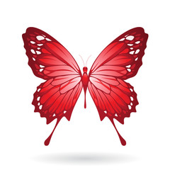 Red Glossy Butterfly Illustration