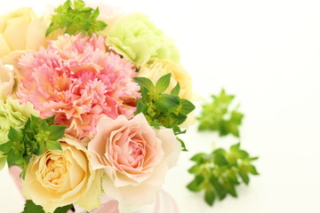 薔薇　カーネーション　背景