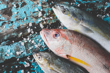 Fresh red snapper sea fish with salt.