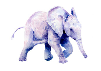 Watercolor drawing of a little baby elephant.
