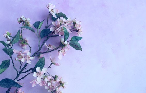 "Greeting Card Background" Images – Browse 1,047 Stock Photos, Vectors ...