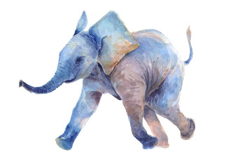 Watercolor drawing. Walk a little baby elephant