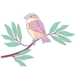 Pastel sparrow on a branch