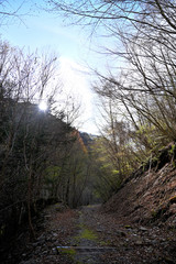 Fototapeta premium 南アルプスの登山道 甲斐駒ヶ岳