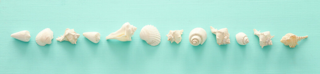 vacation and summer concept with seashells over blue wooden background. Top view flat lay