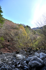 渓流、登山、長野県、日本