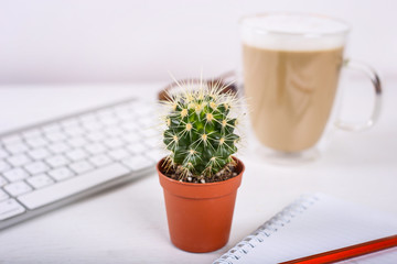 Close up of cactus on white office table desk. Workspace with keyboard, pencil, glasses, notebook and cup of latte.
