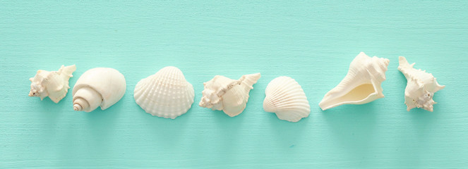vacation and summer concept with seashells over blue wooden background. Top view flat lay - obrazy, fototapety, plakaty