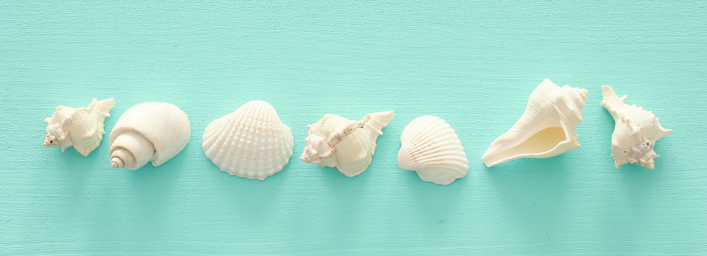vacation and summer concept with seashells over blue wooden background. Top view flat lay