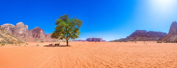 Wadi Rum desert in Jordan