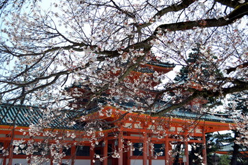 Japanese Shinto Temple in Kyoto
