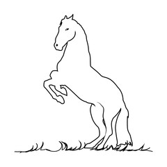 Horse Icon, Vector, Silhouette - Vector