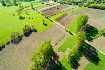 Campi arati e coltivati - vista aerea