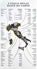 Macelleria e macellazione, mappa italiana delle carni per regione
