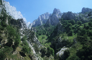 Fototapeta na wymiar Italy; high in the mpuntains of the Dolomites