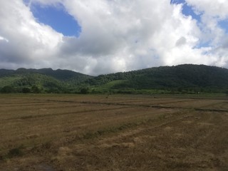 Fototapeta premium Palawan Philippinen Dezember 