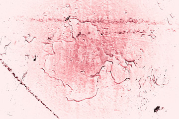 Vintage pink background. Rough painted wall of fiesta color. Imperfect plane of rosy colored. Uneven old decorative toned backdrop of rouge tint. Texture of pink hue. Ornamental stony surface.