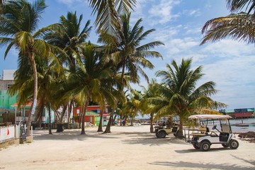 Naklejka premium Caye Caulker Island, Palms, Beaches and Go Slow, Belize, Central America