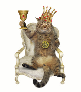 The cat king in the crown with gold cup is on the chair. White background. Isolated.