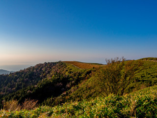 【静岡県伊豆半島】伊豆山稜線歩道仁科峠付近からの夕景【秋】