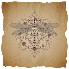 Vector illustration with hand drawn Dragonfly and Sacred geometric symbol on old paper background with torn edges. Abstract mystic sign.