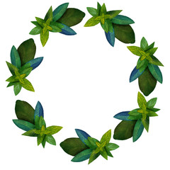 wreath of mint and sage .
